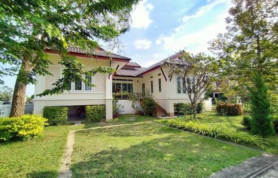 ������ �� �Ң�ѭ �Ź�����