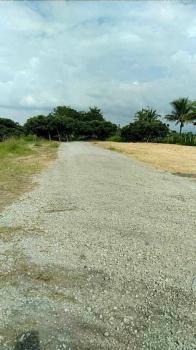 �ҧ�� �� northern1