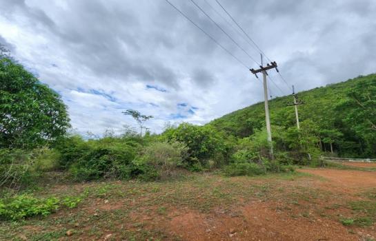 ����֧ �� pazarestate1