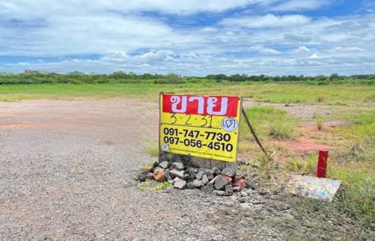 ���� �� zionasset1