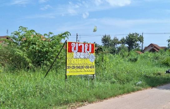 �͹�� �� zionasset1