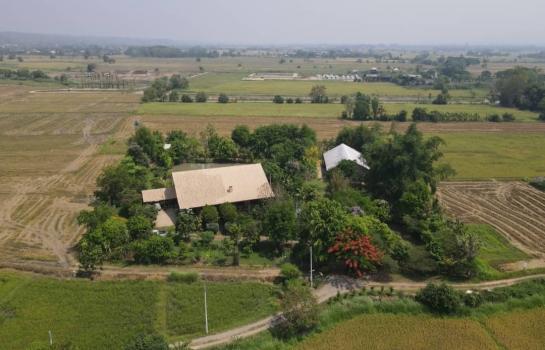 ��ҹ������ �� Sawasdee