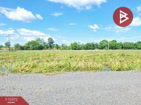 ��¹�ù�¡ �� The Best Property Agent