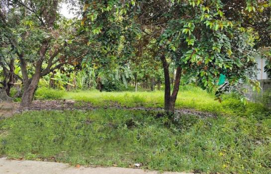 ������ �� zionasset1