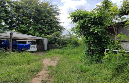 ������ �� zionasset1