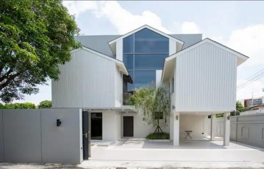 ��ҹ�Ѳ�� �� asangha PL