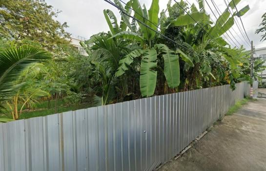 ����Ѳ�� �� HarrisonTH