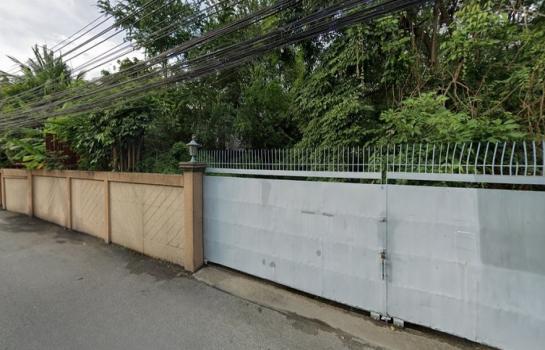 ����Ѳ�� �� HarrisonTH