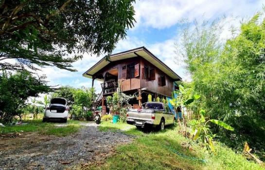 �����ǧ �� numberone