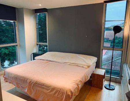 ��¾��� �� incube