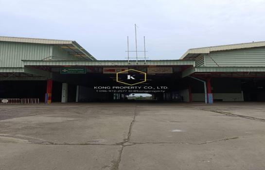 �Ҵ������� �� Kong property