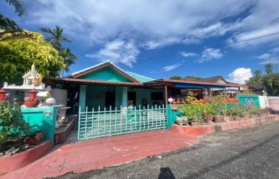 �ҧ�� �� northern1