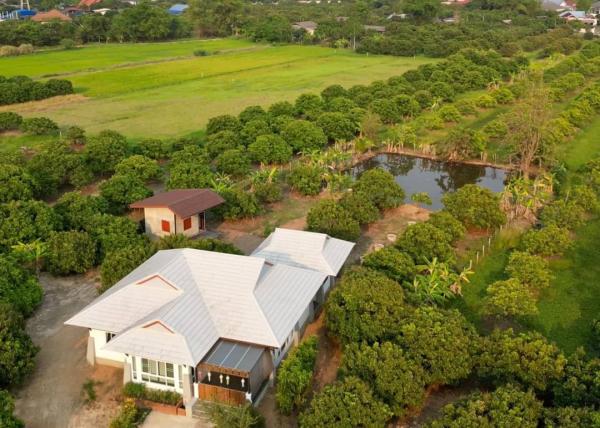 ��ҹ�ѹ��ҵͧ ��§����