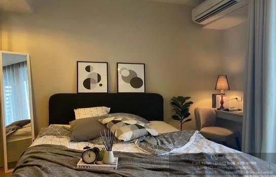 �͹���������ͧʵٴ���