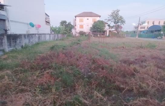 ������ �� B.Y.55