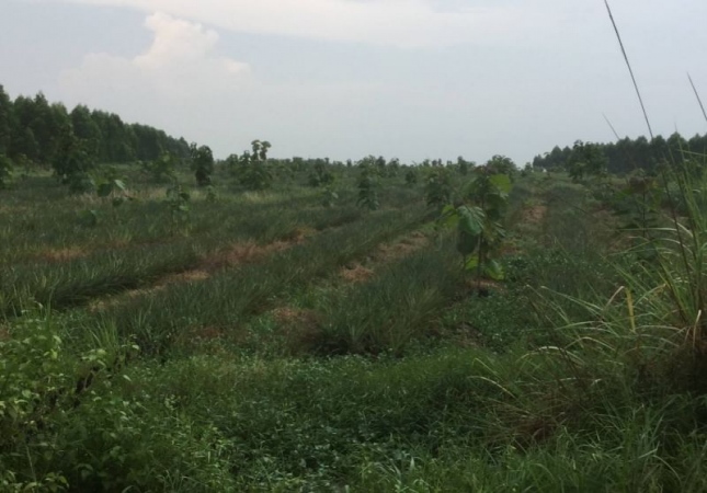 �ź��� �� A House property