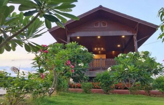 �ҧ�� �� northern1