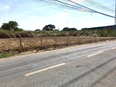 ���Թ��俿�� �Ҵ��кѧ