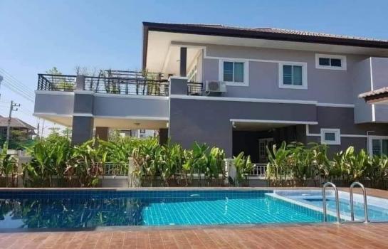 ��ҹSwimming 15,000,000 �ҷ