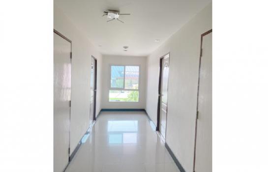 �ҧ�л� �� B.Y.55