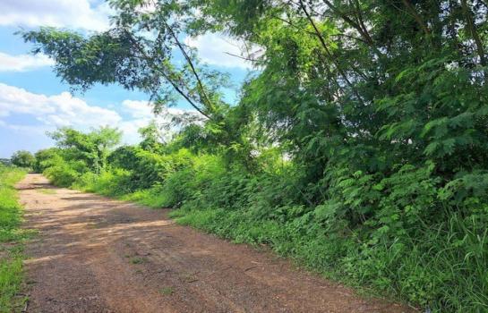 ที่ดิน 500000บาท 2 ไร่ ที่ดิน 500000บาท 2 ไร่