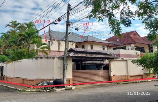 �ҧ�� �� panaya.opalopal