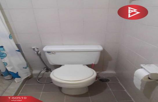 �͹����ͧ ���ͧ