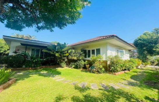 �ҧ�� �� northern1