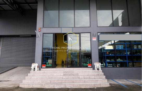 ��ا෾ �� Kong property