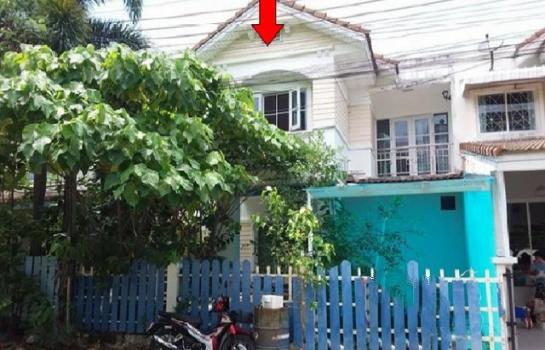 ���� �� panaya.opalopal