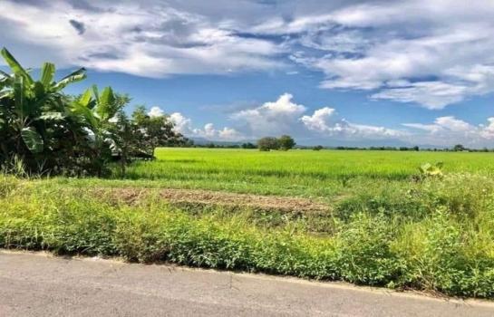 ������ �� onanong khumaphao