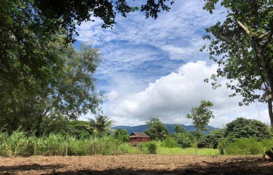 ������ �� onanong khumaphao