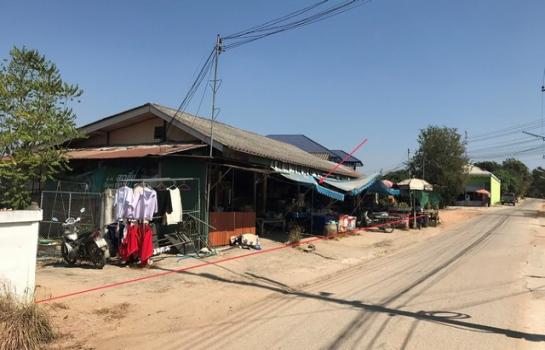 ���� �� panaya.opalopal