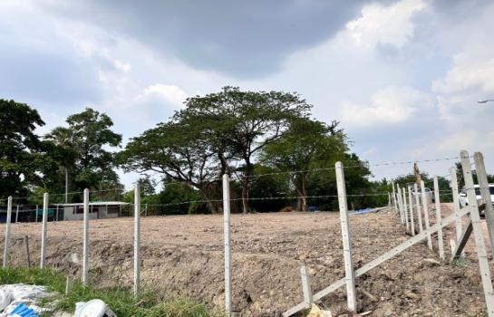 ��·��Թ �ҧ�˭蹹�����