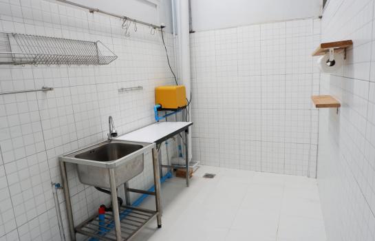 �Ҥ�þҳԪ���ա��ͧǧ�ûԴ �ҧ����