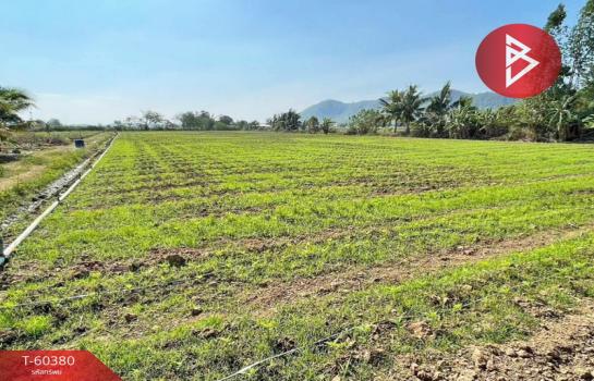 �����ǧ �� The Best Property Agent