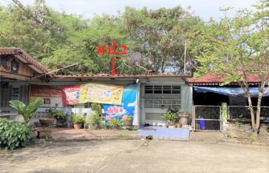 �����ҹ� �� panaya.opalopal