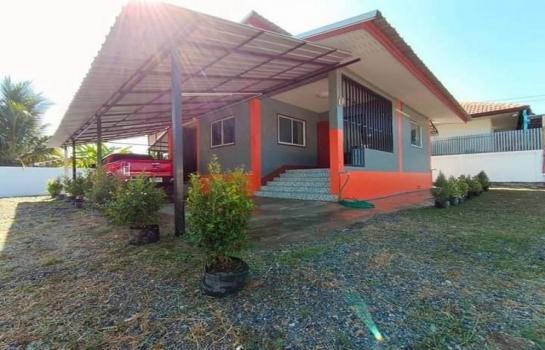 �ѹ���� �� northern1