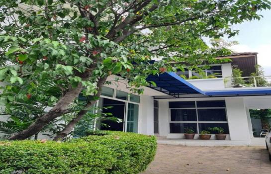 ��ҹ��������������ú ����