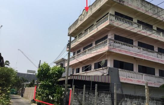 ������ �� panaya.opalopal