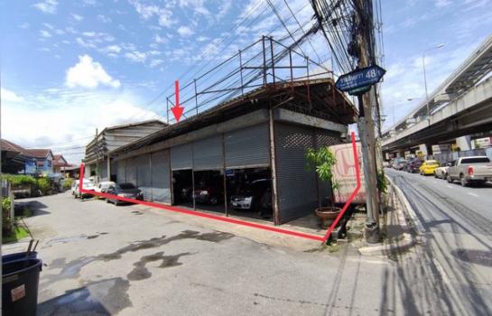 ��¤ѹ����� �� panaya.opalopal