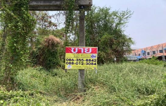 �ҧ��Ƿͧ �� zionasset1