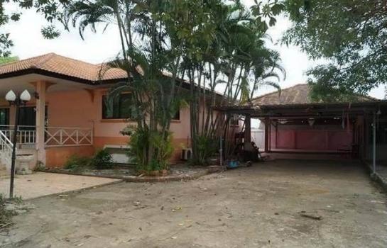 �ѹ��ᾧ �� northern1