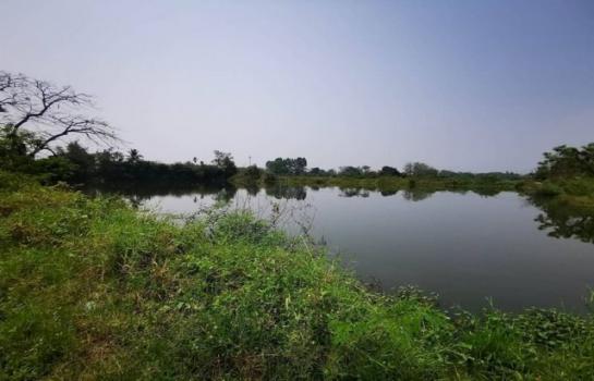 �ѹ���� �� northern1