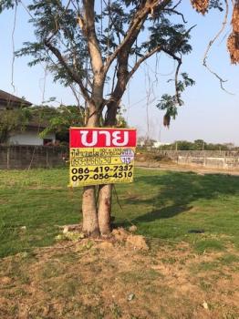 �ҧ��� �� zionasset1