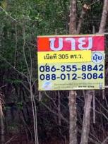 ��·��Թ �Ҥһ�С�Ȣ�� 10,675,000 �ҷ