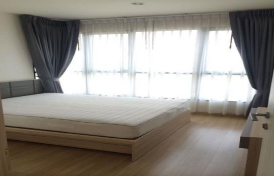 ���ͧ �� M Property