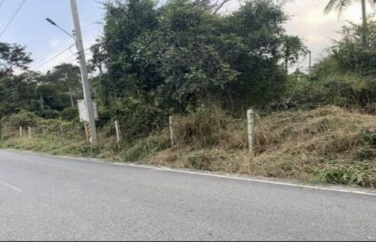 ที่ดิน pattaya ที่ดิน pattaya