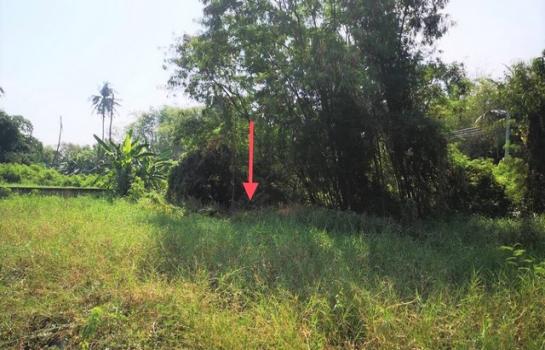 ��ºҧ� �� compos2566