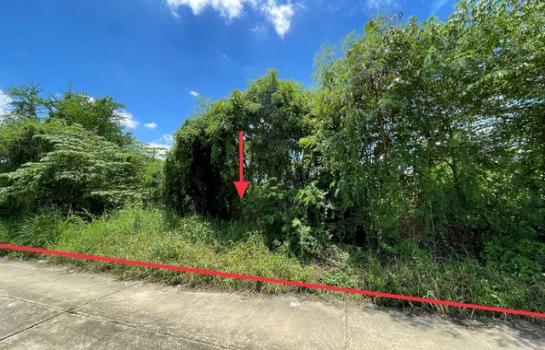 ��ºҧ� �� compos2566